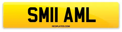SM11 AML