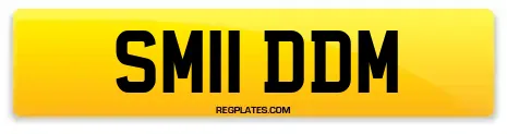 SM11 DDM
