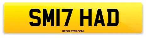 SM17 HAD