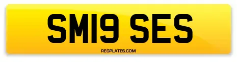 SM19 SES