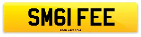 SM61 FEE