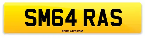 SM64 RAS