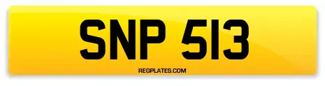 SNP 513