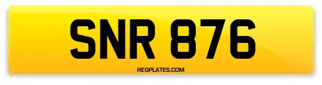 SNR 876