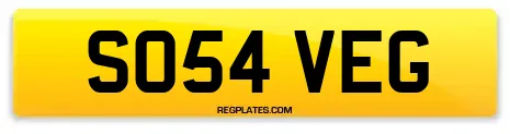 SO54 VEG