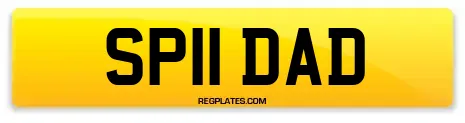 SP11 DAD