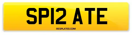 SP12 ATE