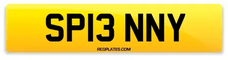 SP13 NNY