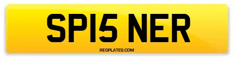 SP15 NER