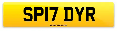 SP17 DYR