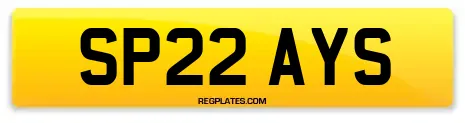 SP22 AYS