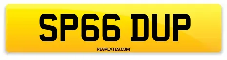 SP66 DUP