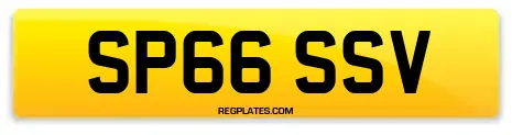 SP66 SSV