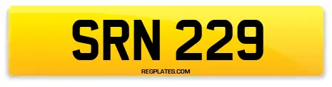 SRN 229