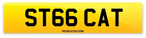 ST66 CAT
