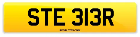 STE 313R