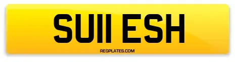 SU11 ESH