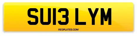 SU13 LYM