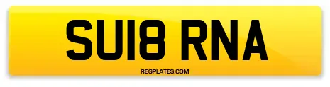 SU18 RNA