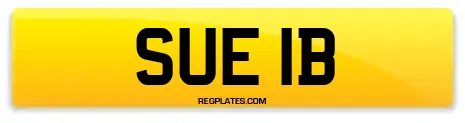 SUE 1B