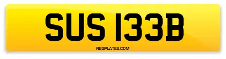SUS 133B