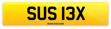 SUS 13X