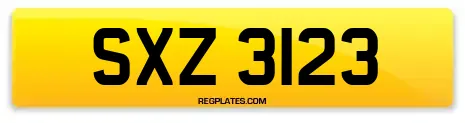 SXZ 3123