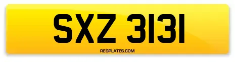 SXZ 3131