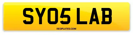 SY05 LAB