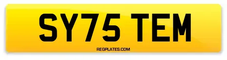SY75 TEM