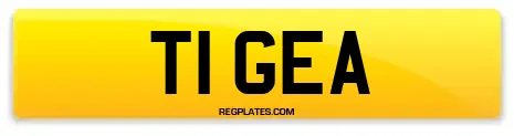 T1 GEA