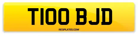 T100 BJD