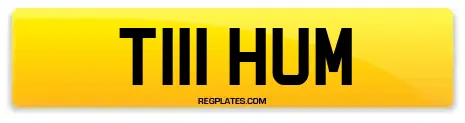 T111 HUM