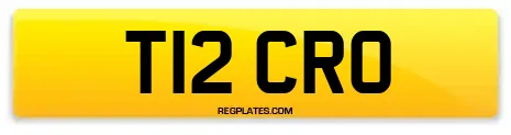 T12 CRO