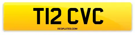 T12 CVC
