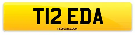 T12 EDA