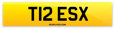T12 ESX