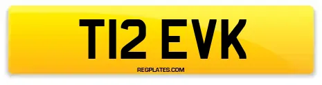 T12 EVK
