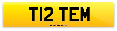 T12 TEM