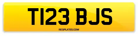 T123 BJS