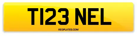 T123 NEL
