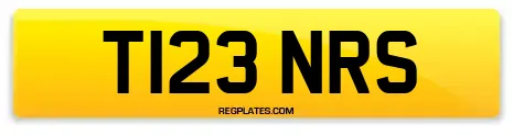 T123 NRS