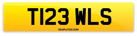 T123 WLS