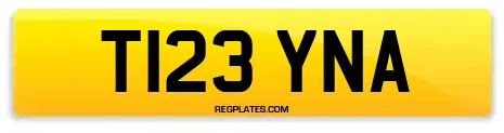 T123 YNA