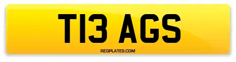 T13 AGS