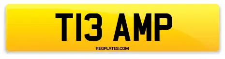 T13 AMP