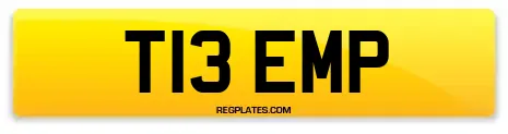 T13 EMP