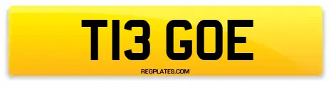 T13 GOE