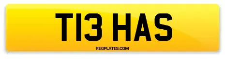 T13 HAS