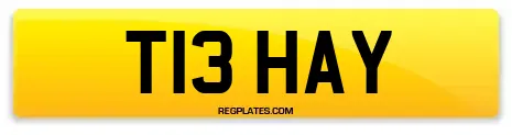 T13 HAY